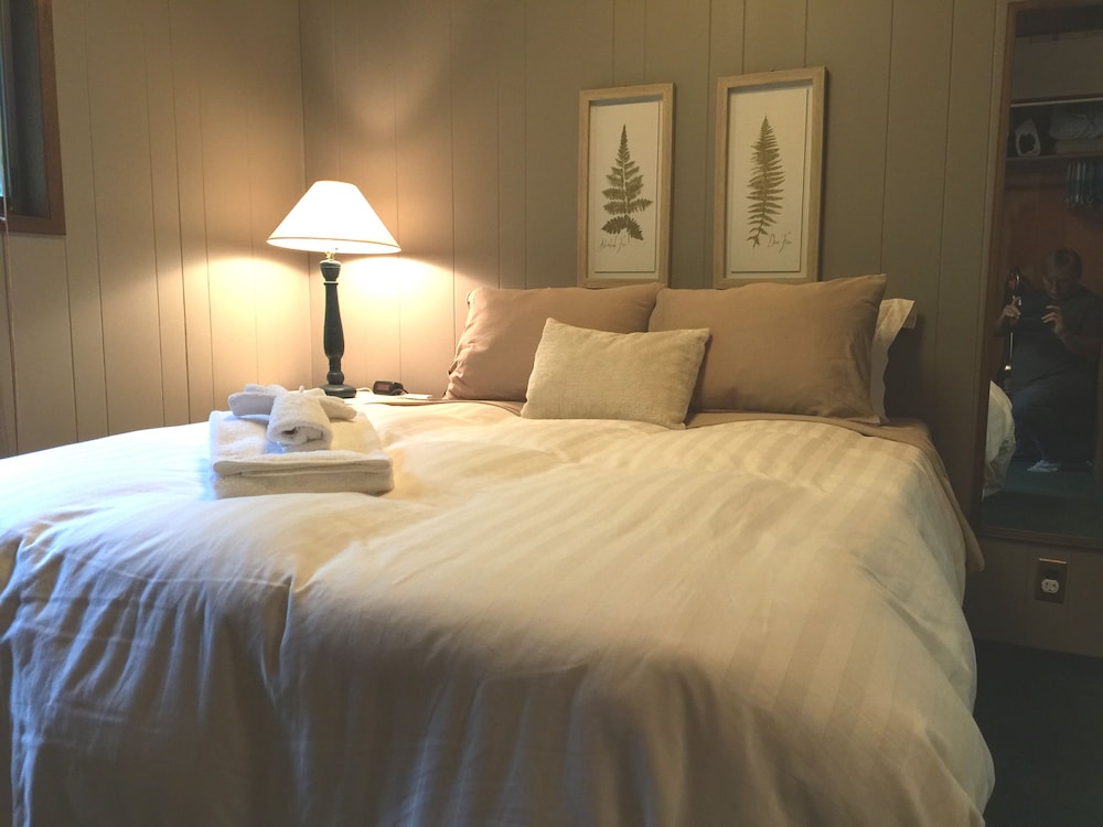 Snowline Cabin #98 A pet Friendly Cabin With a Wood Stove, hot tub and Wifi! view 2