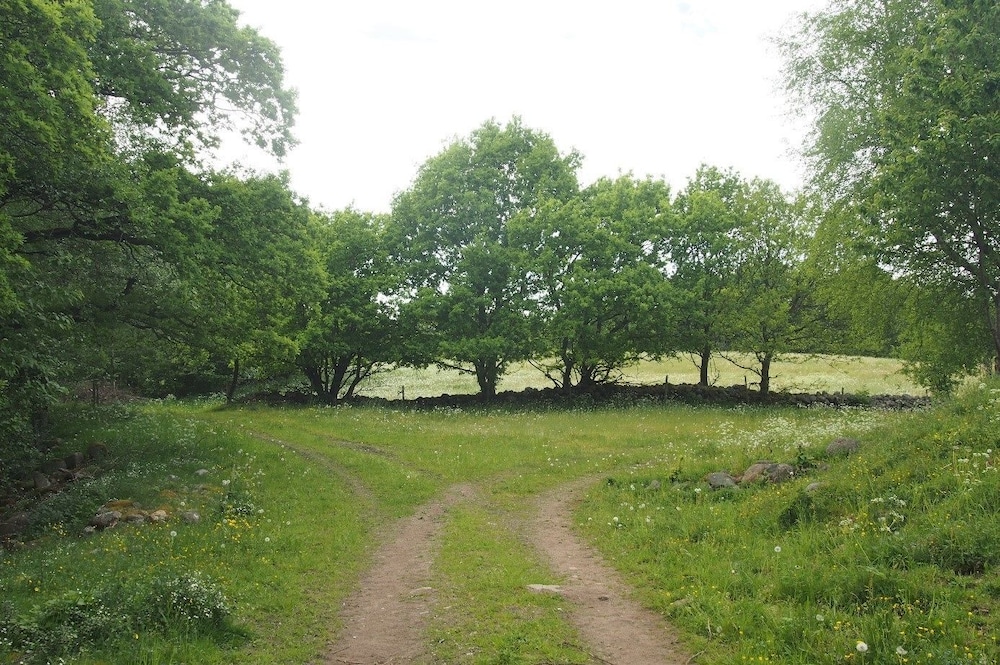 Photo 22