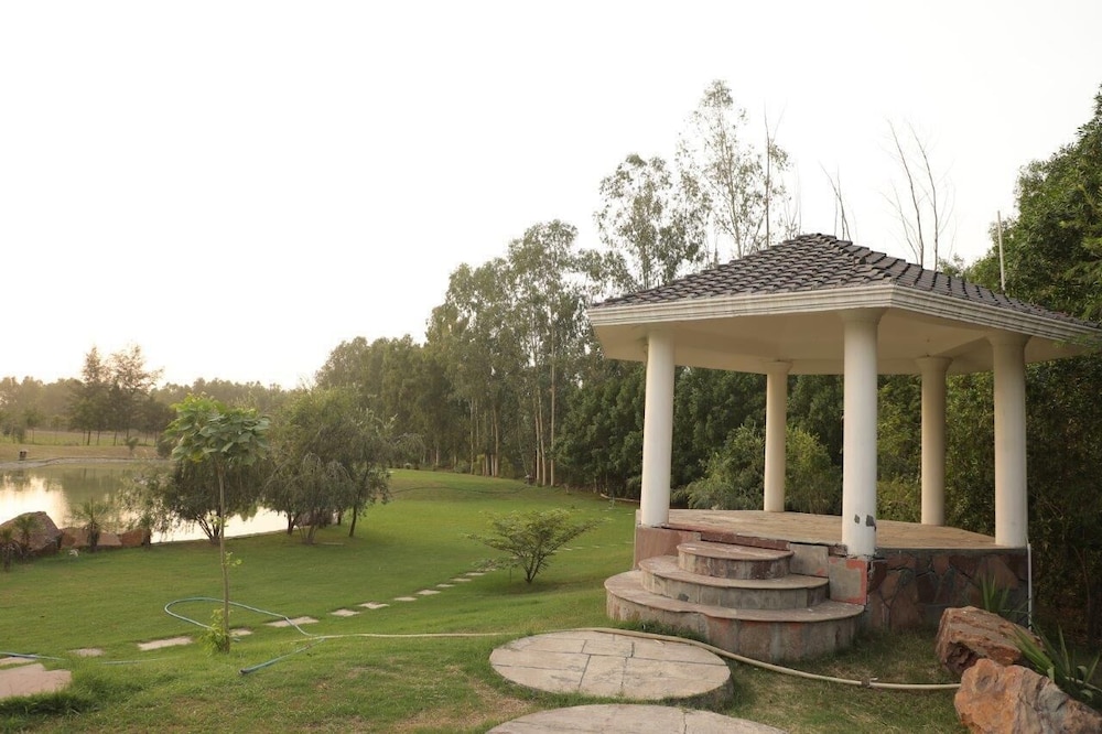 Photo 21