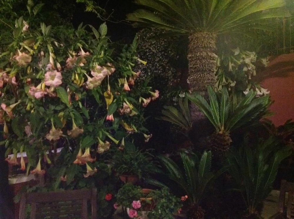 other