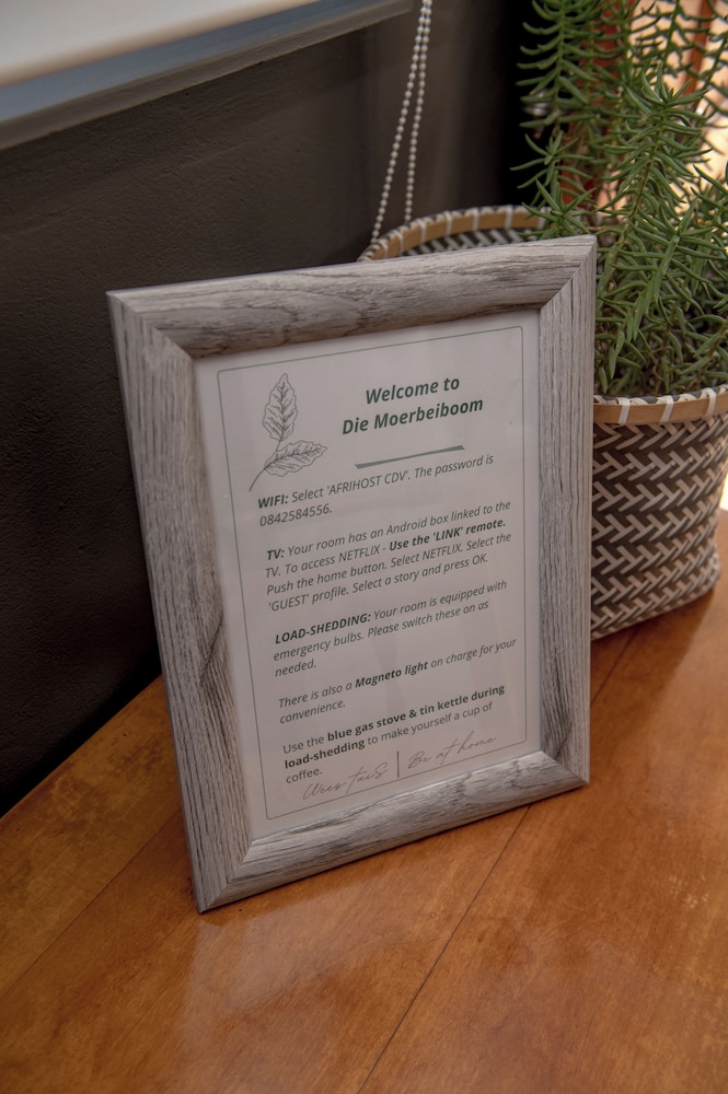 Die Moerbeiboom