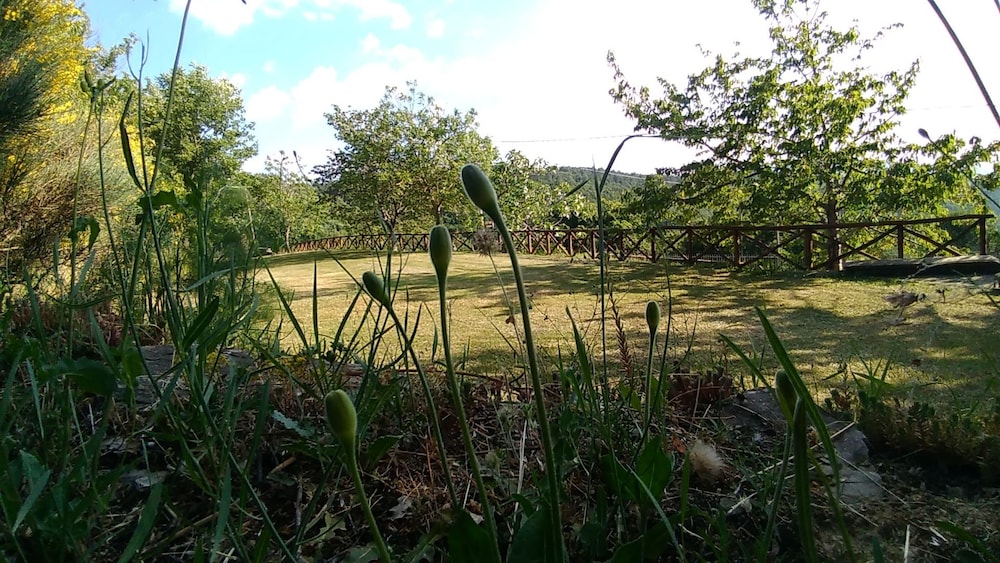 Photo 31