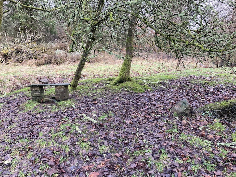 Red Squirrel Haven 2BR House - Sleeps 4 - Parking