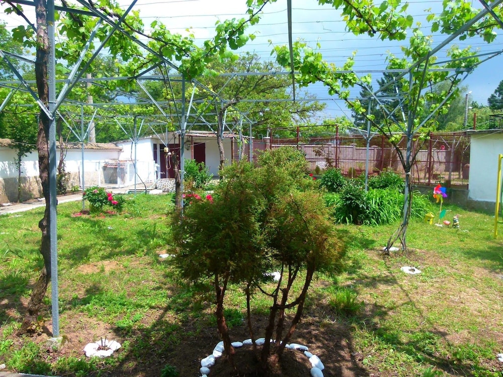 Photo 23