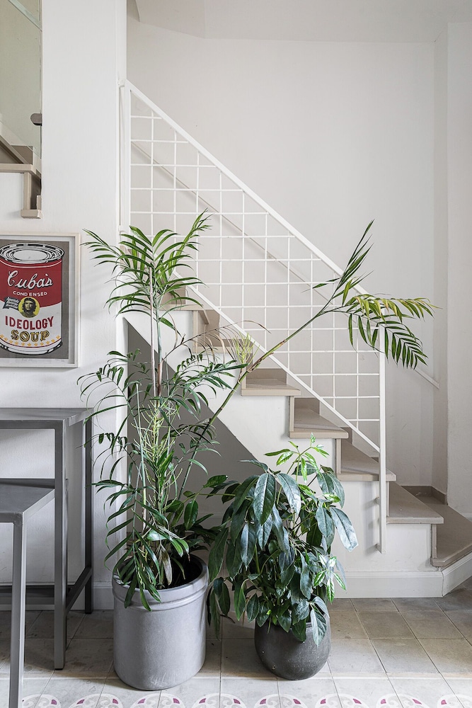 The Gem of Neve Tzedek by Sea N' Rent