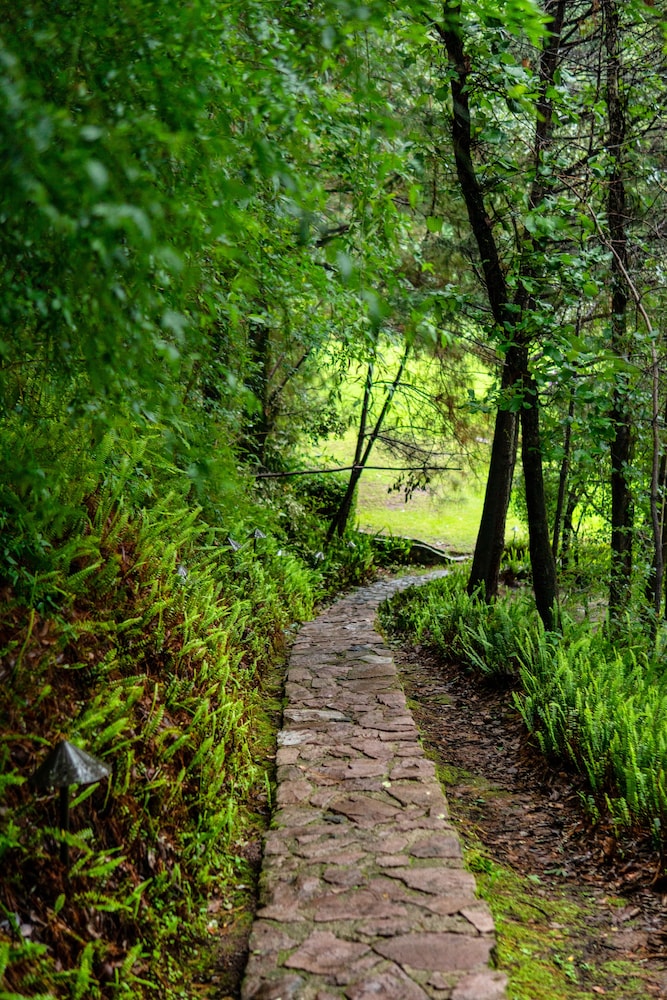 Sierra Lago Resort  Spa - All inclusive - Property Image 57