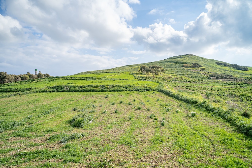 Ta' Pinu B&B, photo 44