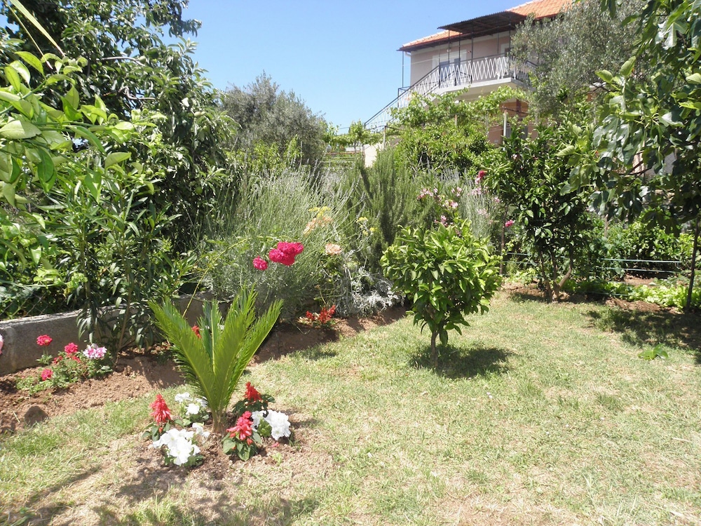 Photo 7