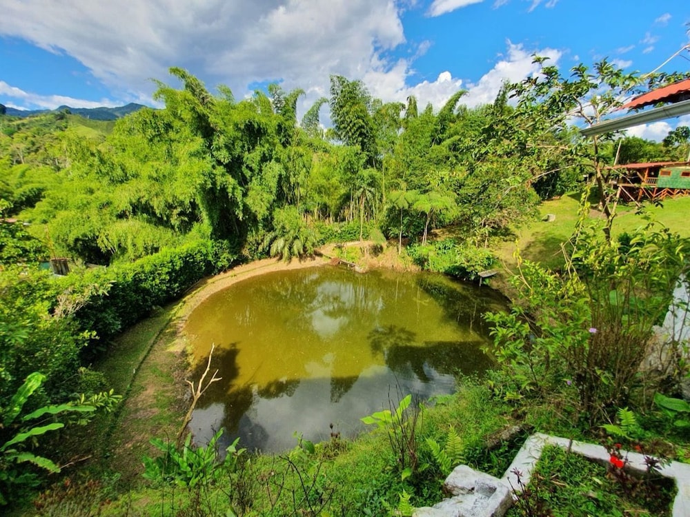 Ecocabañas Pereira