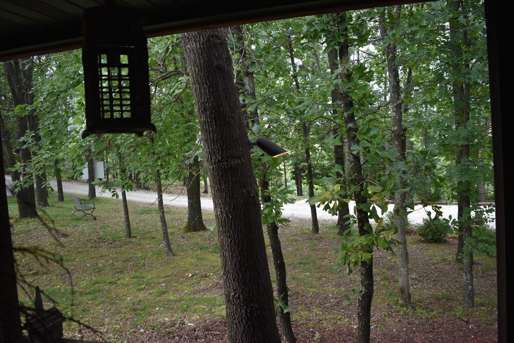 Bear Creek Lodge Cabin Resort