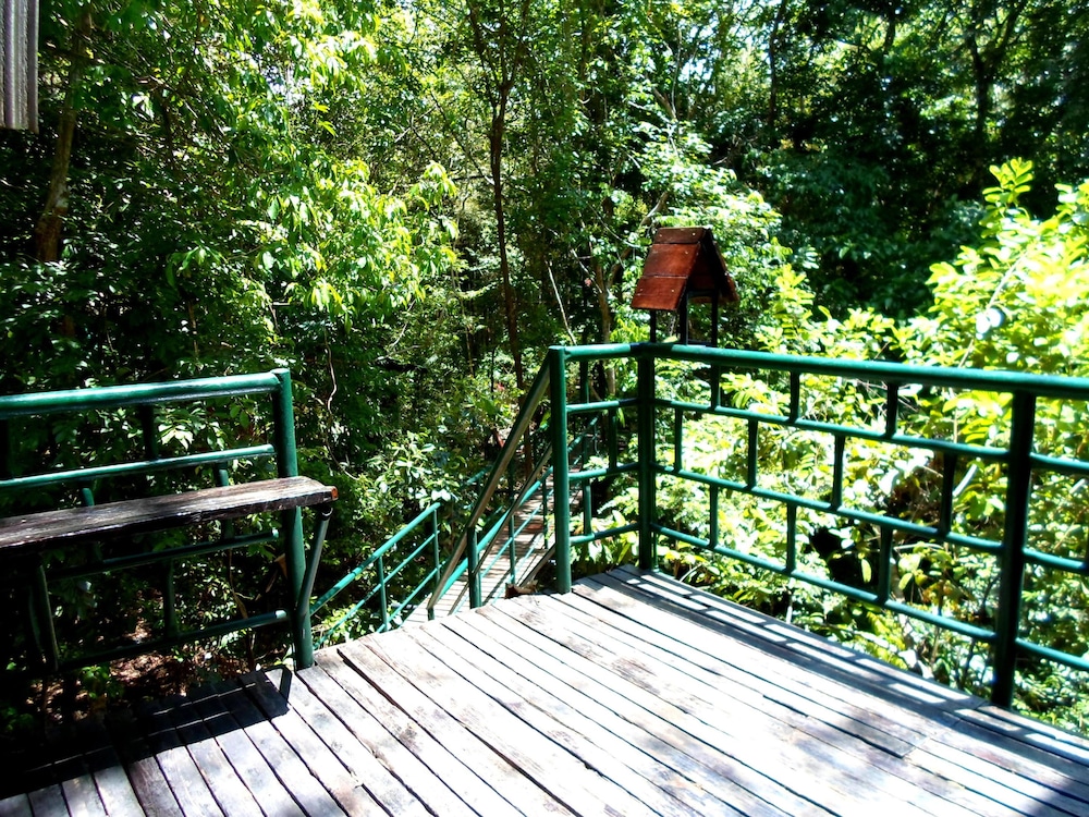 Khao Sok Tree House