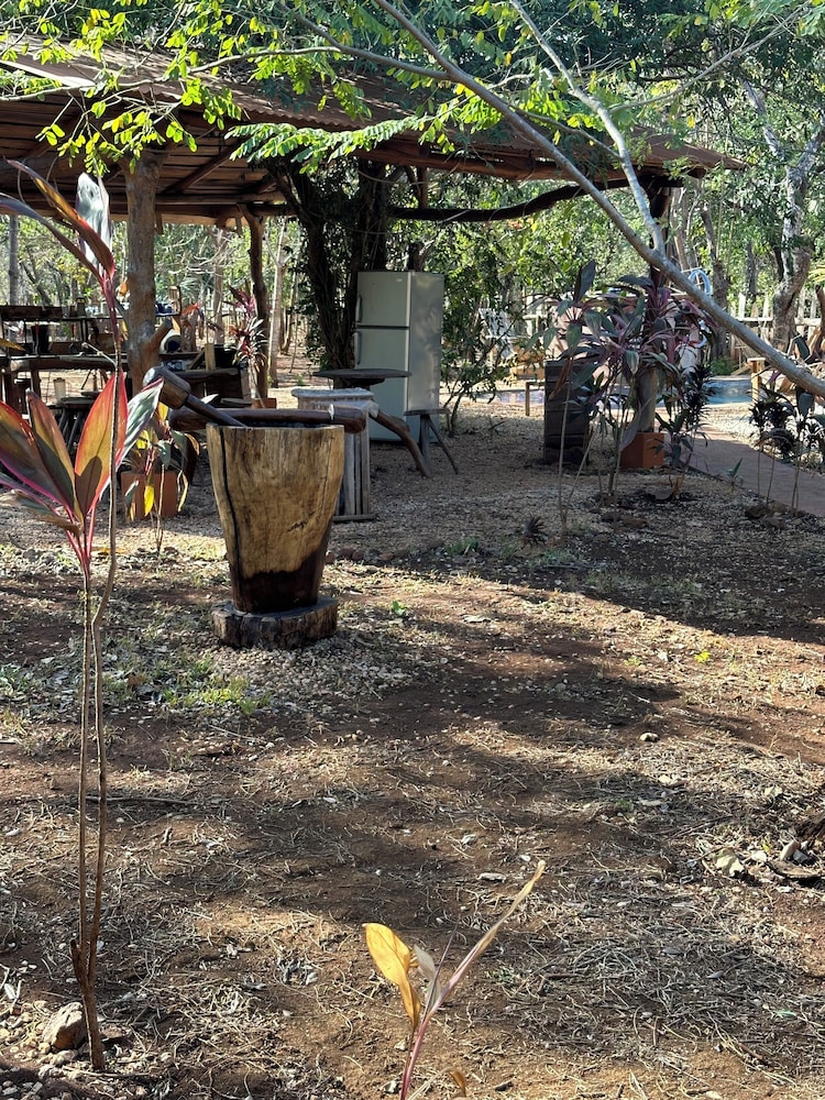 Finca Avellanas