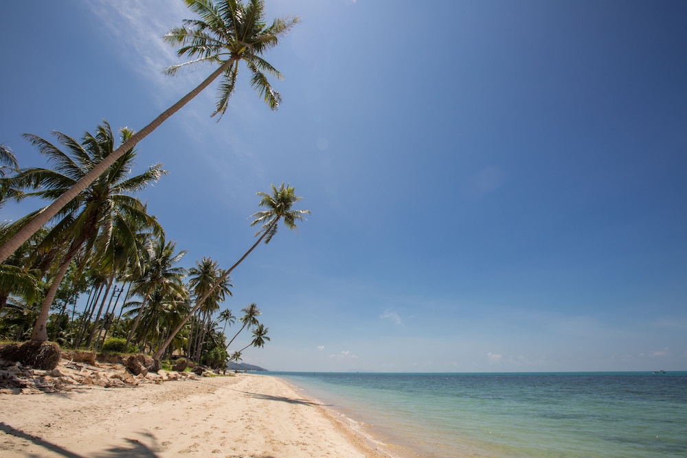Luxury Villa Pina Colada