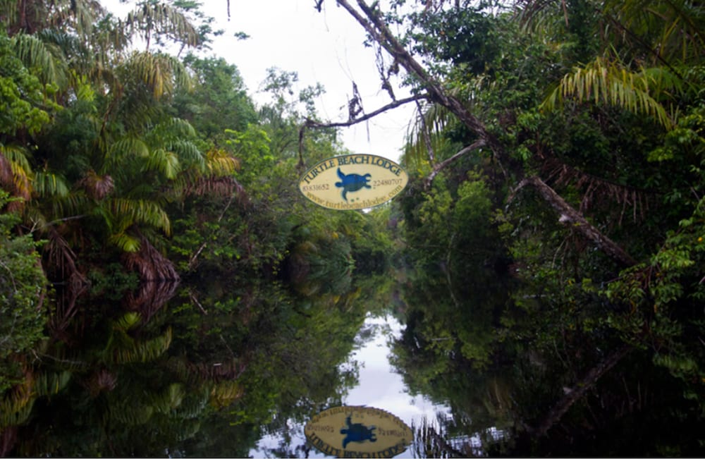 Turtle Beach Lodge