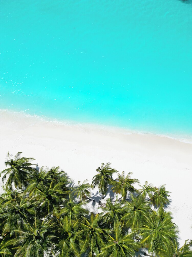 Blue Coral Vashafaru