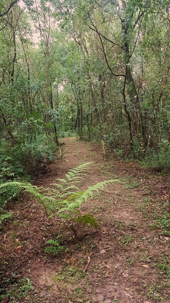 Vista Alegre Natural Resort