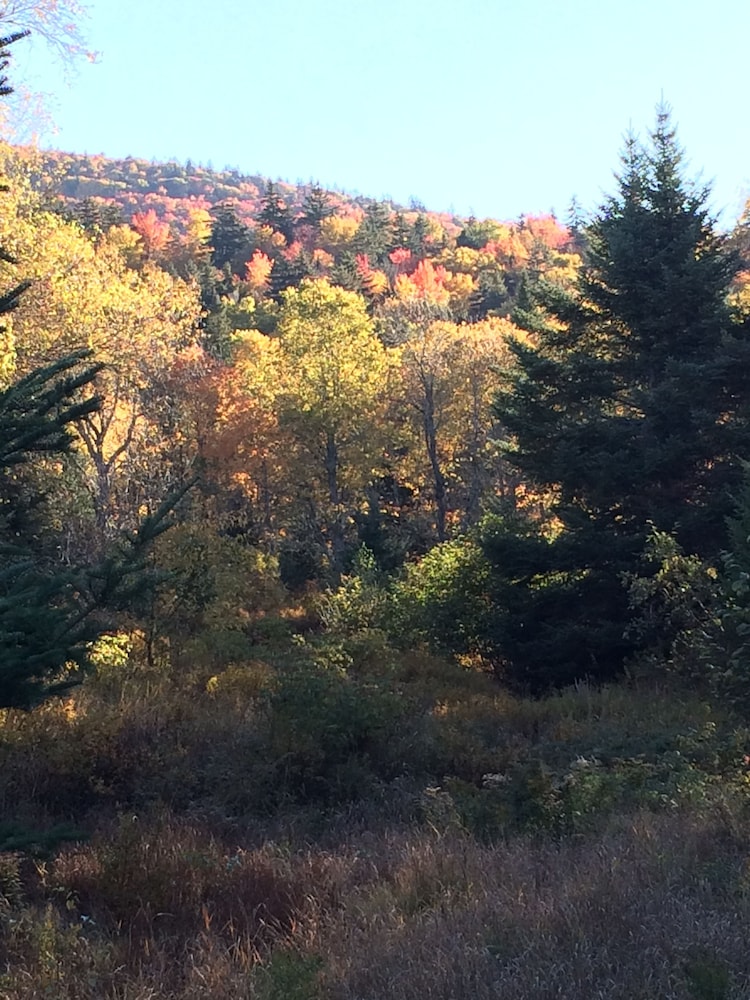 Moose Lodge and Cabins by Bretton Woods Vacations