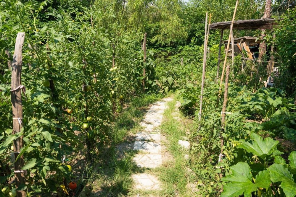 Photo 25