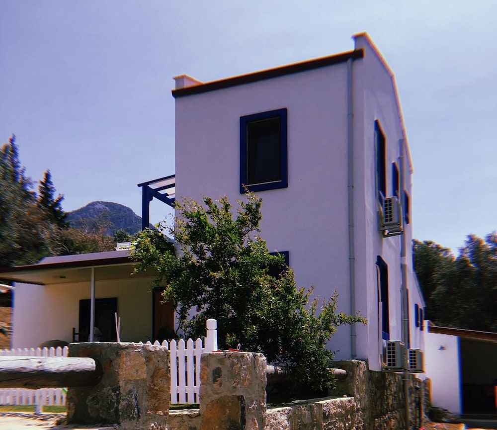 Artolive Datca
