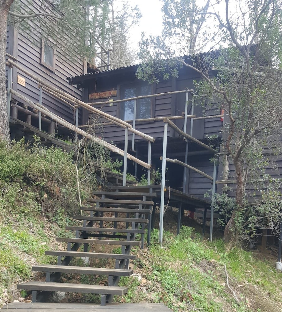 Kulindağ Dağ Evi view 4