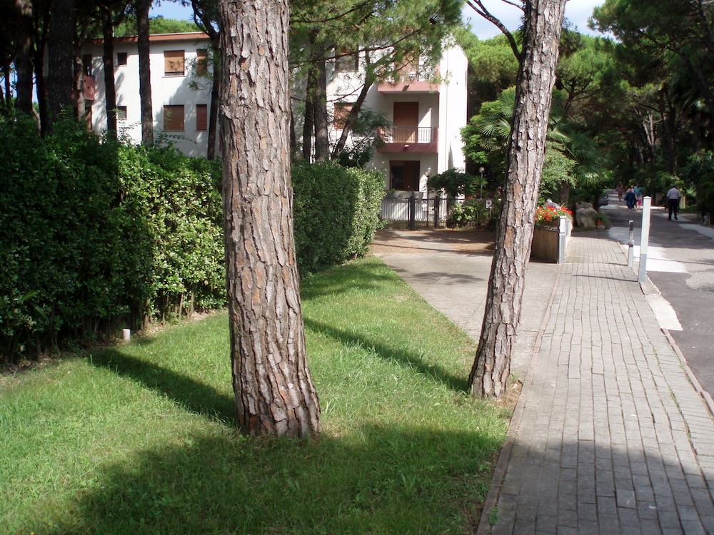 Photo 38
