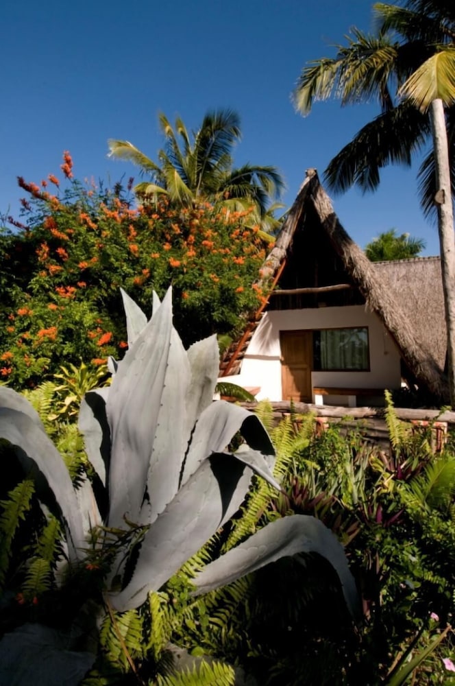 Palmeiras Lodge