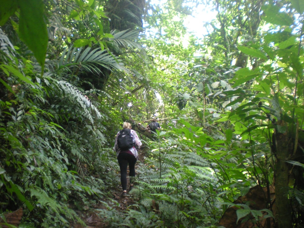 Tepi Sawah Lodge