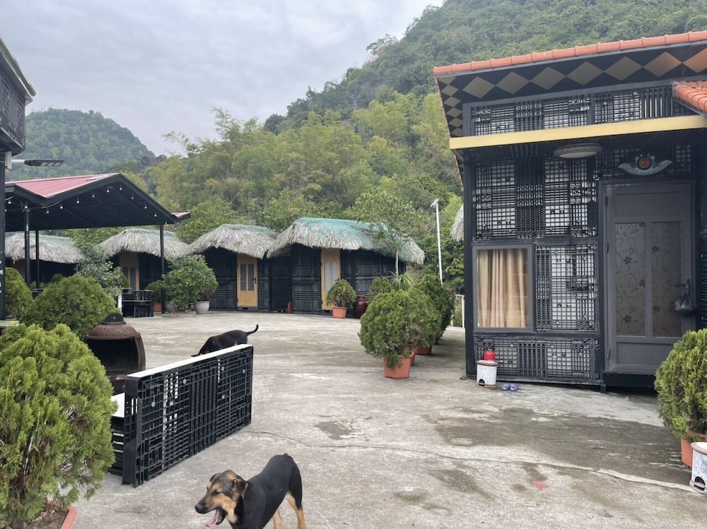 Cat Ba Mountain View