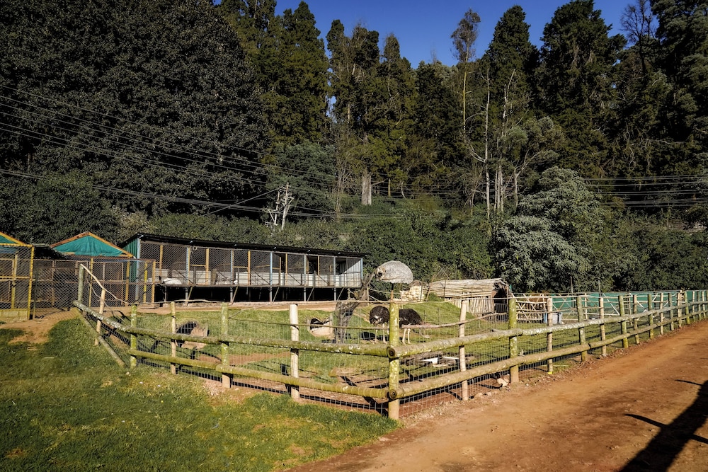 Virgin Valley