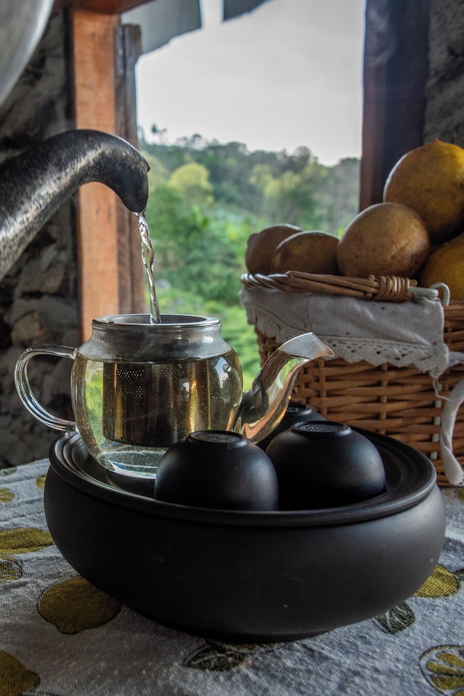 Doi Inthanon Tea Farmstay