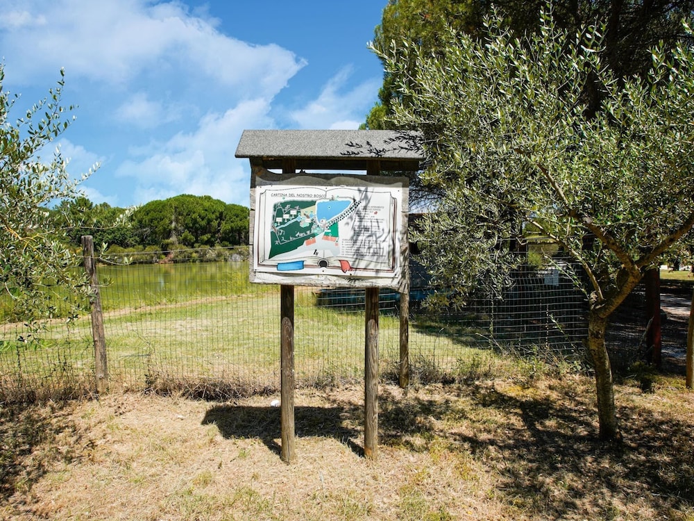 Apartment in Castiglione Near Lake Trasimeno