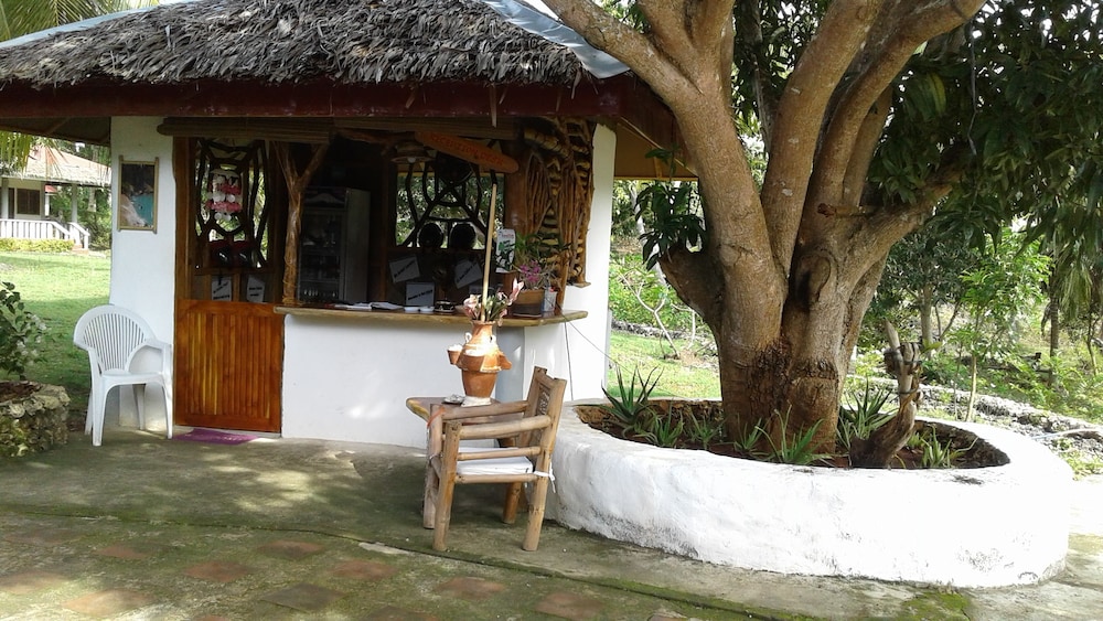 Chelle's Guest House and Backpackers - Hostel