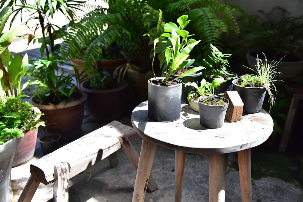 Hosts Huahin - Hostel