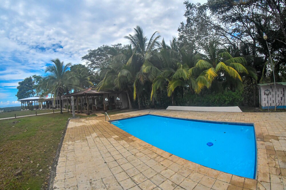 Tarcoles Birding Lodge