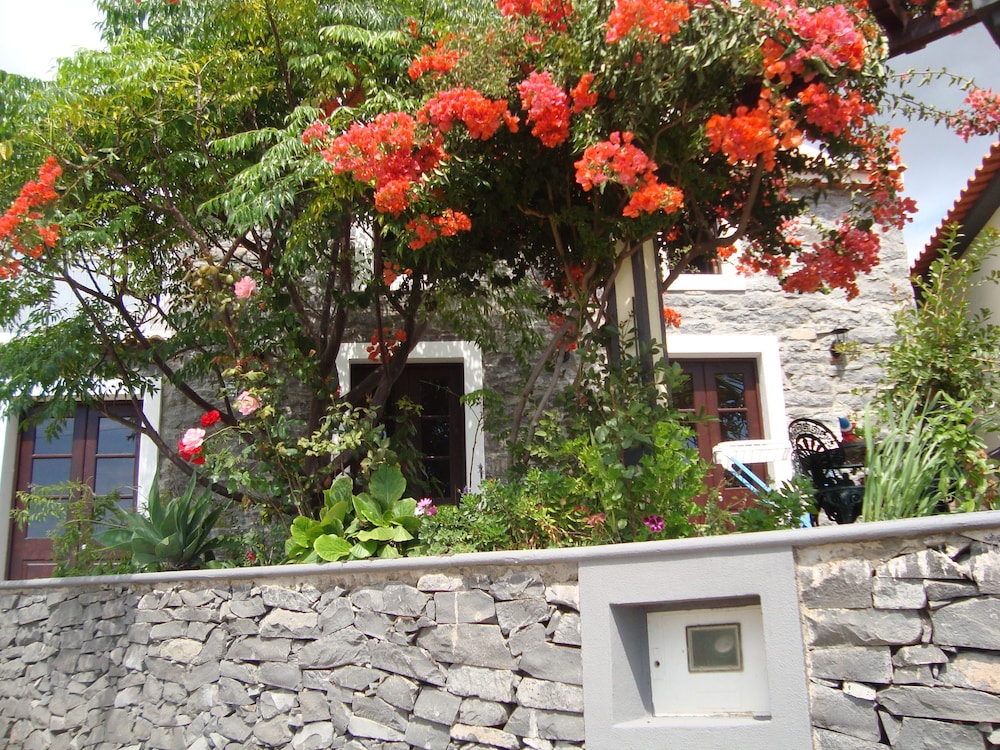 Cavalinho Palheiro in Madeira