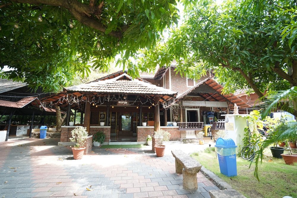 Mango Village
