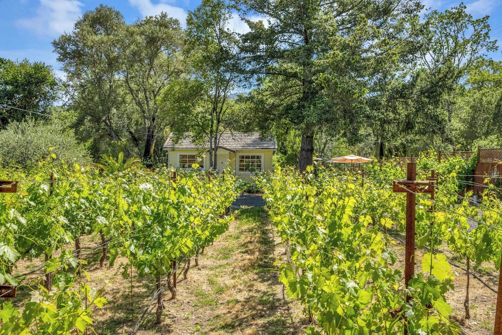 Grapevine Cottage by Avantstay Hobby Vineyard + Firepit