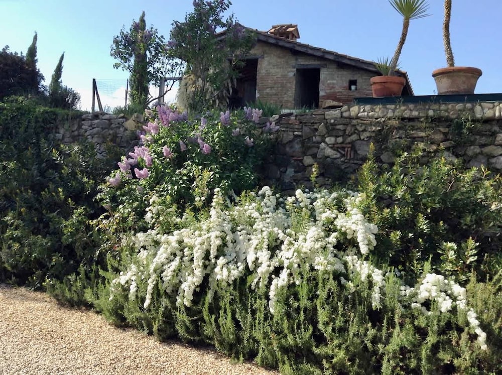 New Historic Tuscany Country House Retreat in a Vineyard Near Siena Villa Chiantissimo