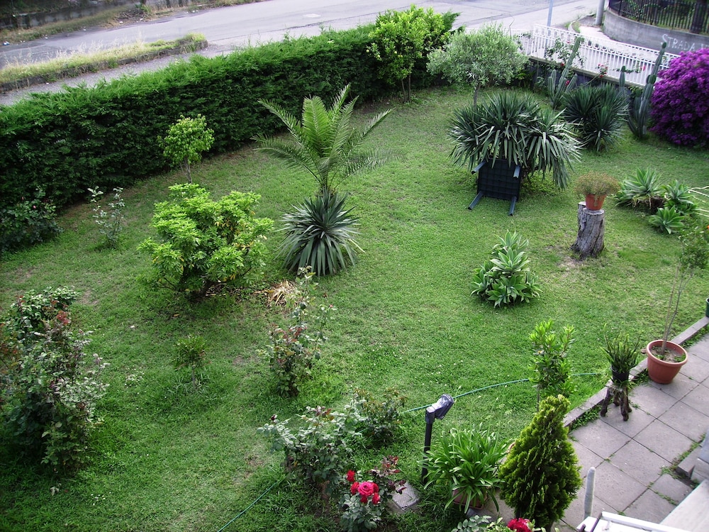 Photo 18