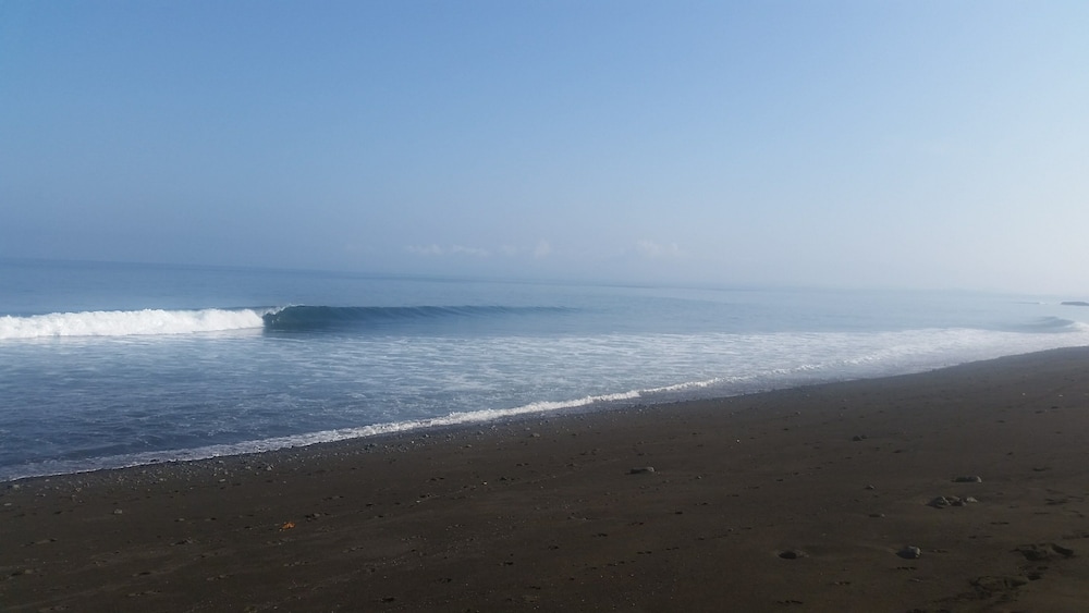 surfhouse pavones
