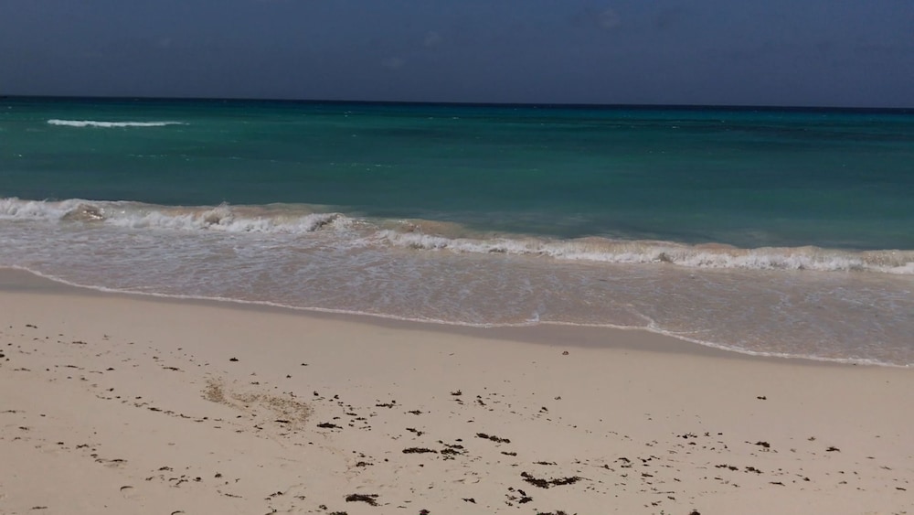 Maxwell Beach Apartment