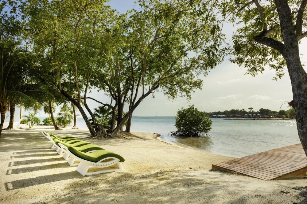 Entire Private Island For An Epic Group Vacation