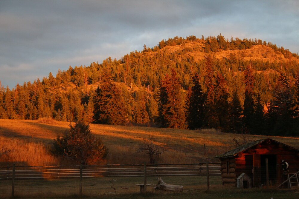 YD Guest Ranch