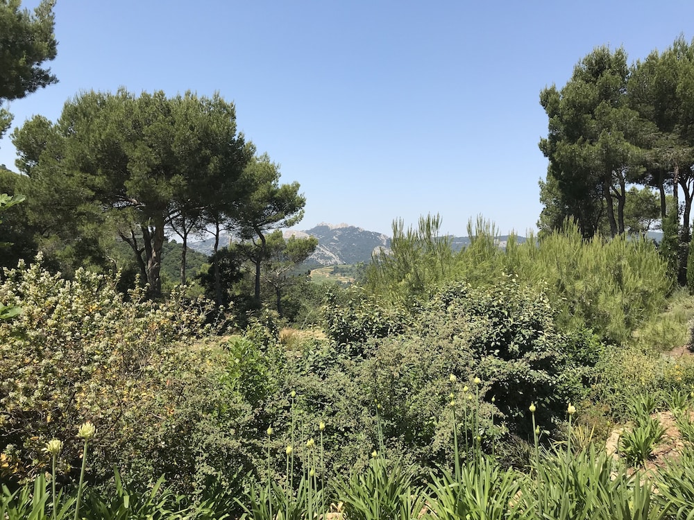 B&B L'Aube Safran
