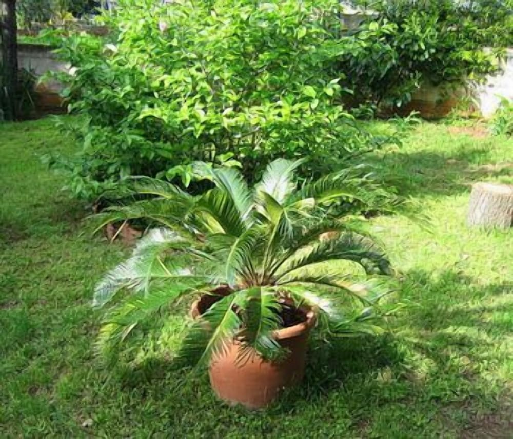 Photo 15