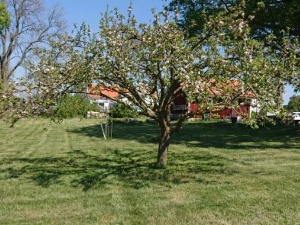 Photo 32