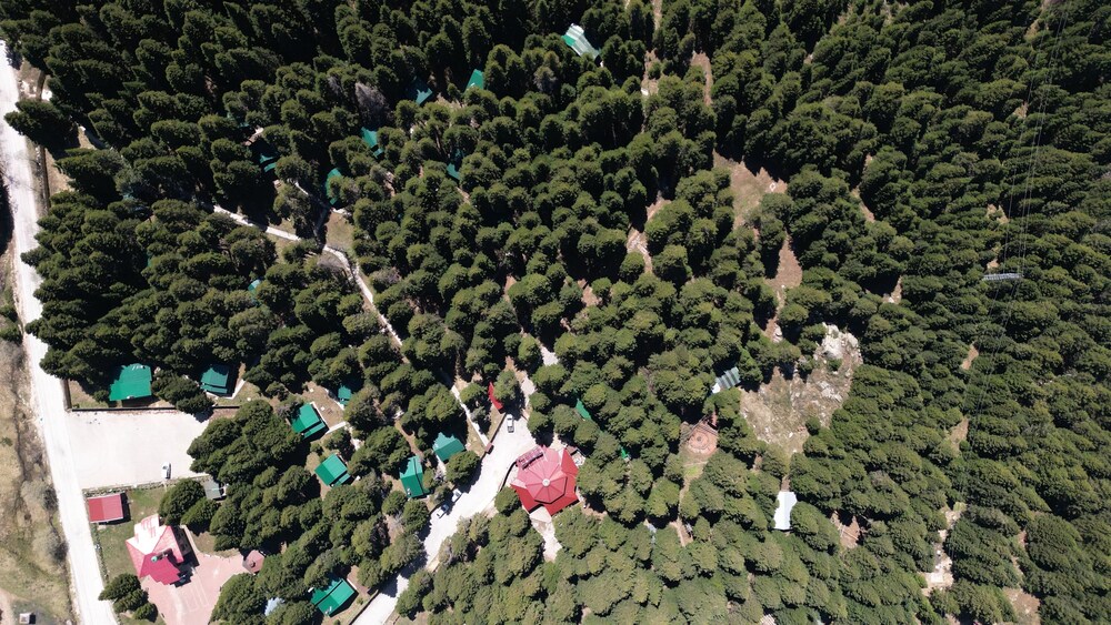 Karinna Forest Houses