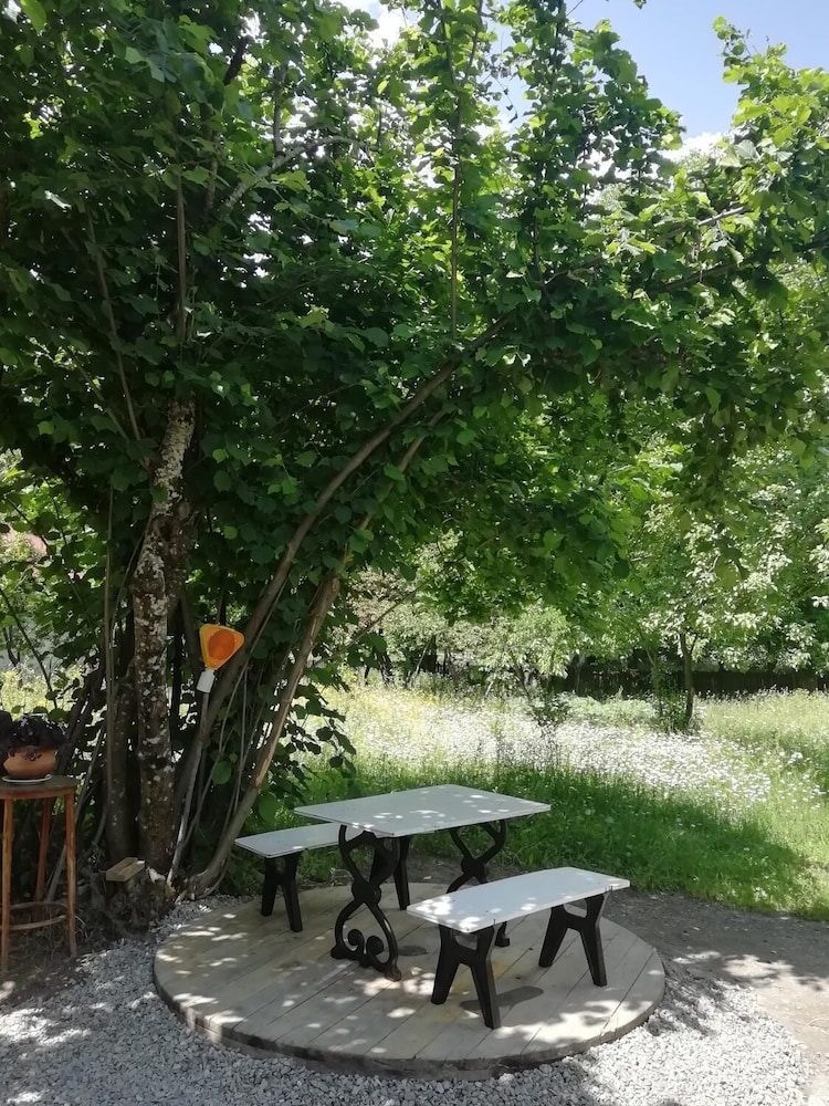 Photo 40