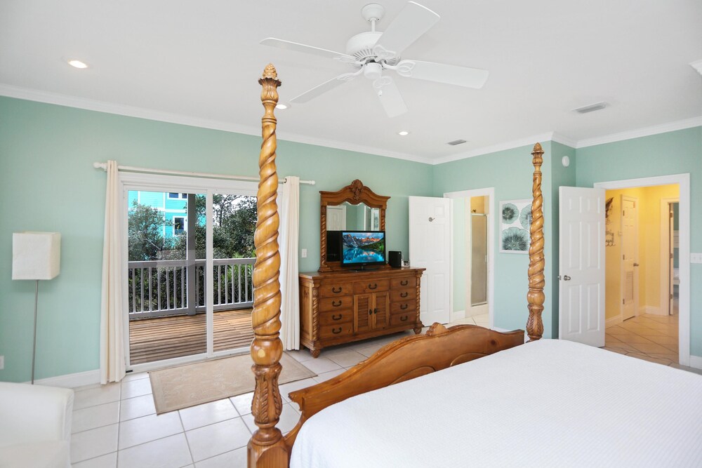 Cape Palms