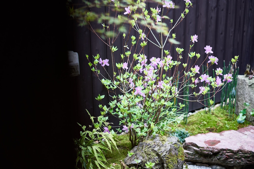Photo 42